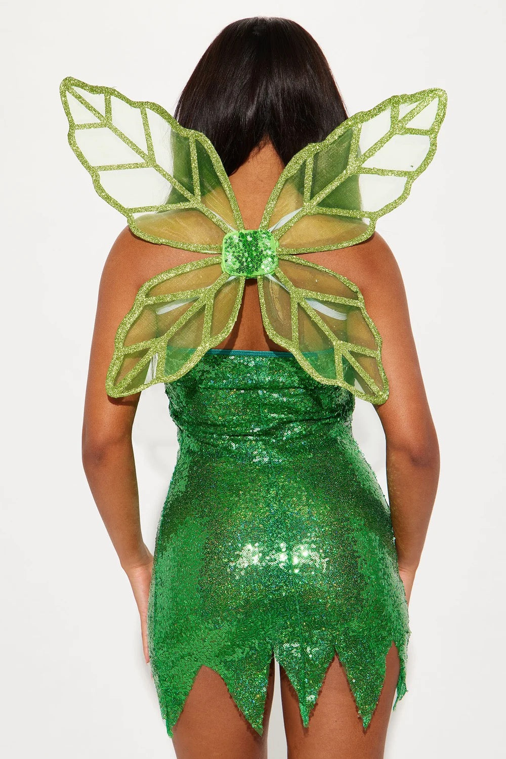 Fairy Costume